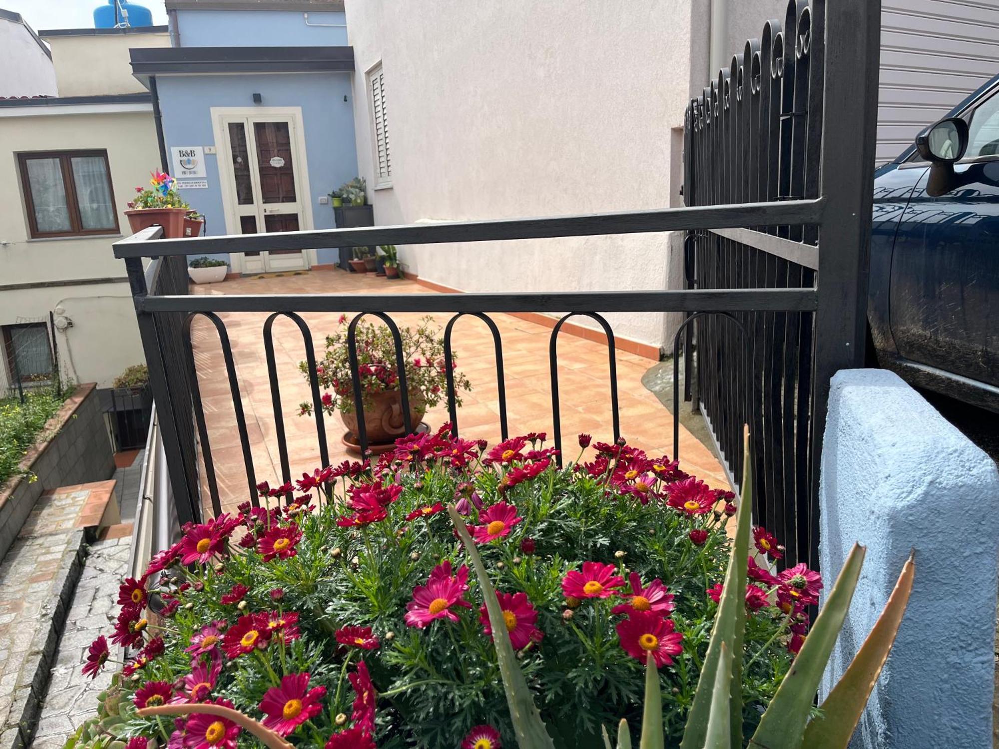 لاينوساي B&B Niu Susu المظهر الخارجي الصورة